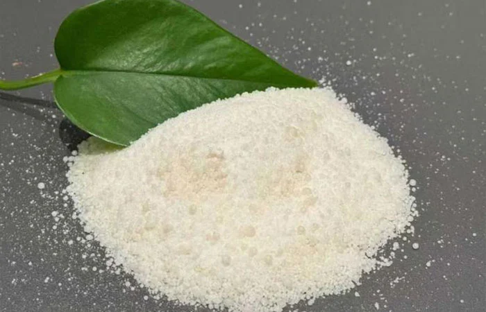 జెంట్లర్ ఐస్ ఫైటర్